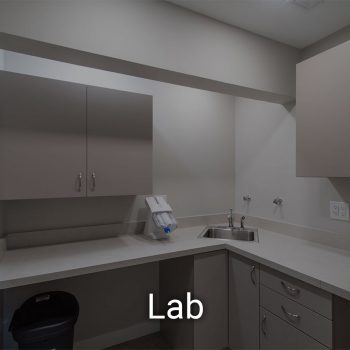Lab